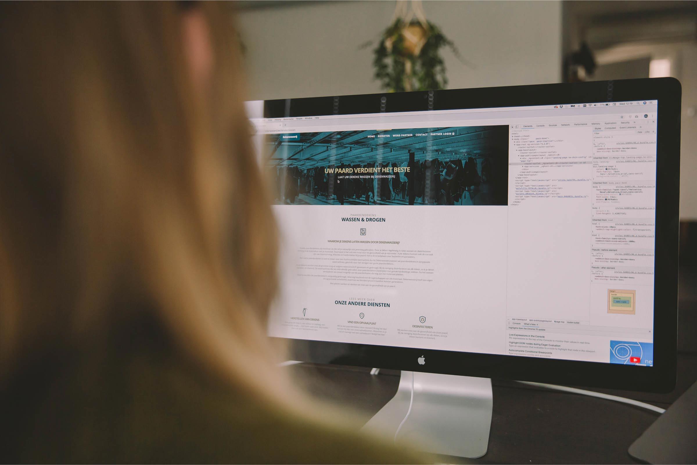 Perfect Pixel - Dekenwasserij Ontdek hoe Perfect Pixel Dekenwasserij opnieuw positioneerde met een sterke merkidentiteit, gericht op kwaliteit en authenticiteit voor paardenliefhebbers.