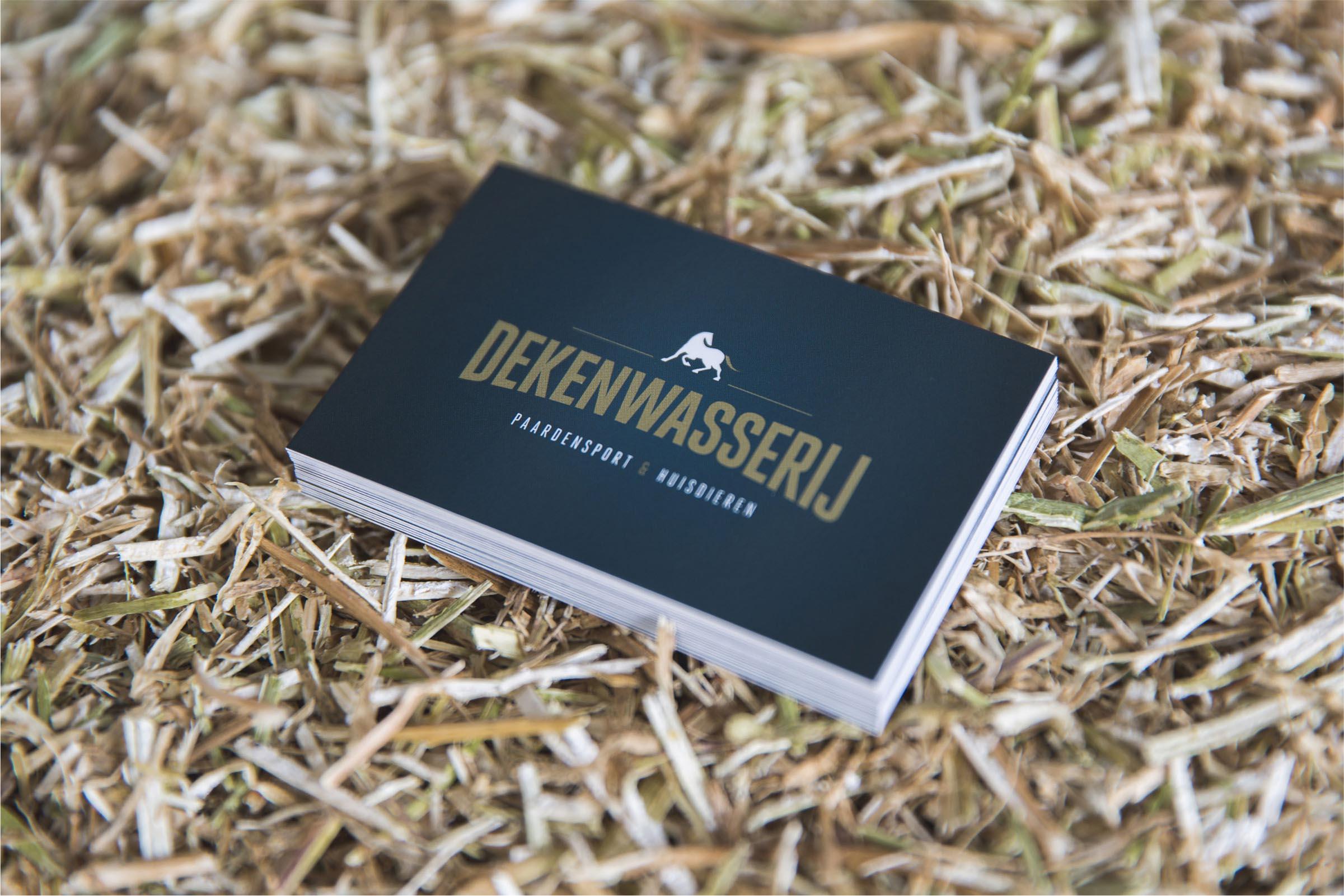 Ontdek hoe Perfect Pixel Dekenwasserij opnieuw positioneerde met een sterke merkidentiteit, gericht op kwaliteit en authenticiteit voor paardenliefhebbers.